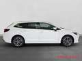Toyota Corolla TS 2.0 Hybrid Team D Technik Paket White - thumbnail 5