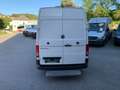 Volkswagen Crafter Kasten Kasten L3H3,Pickerl+Service Neu,Tempomat Weiß - thumbnail 8