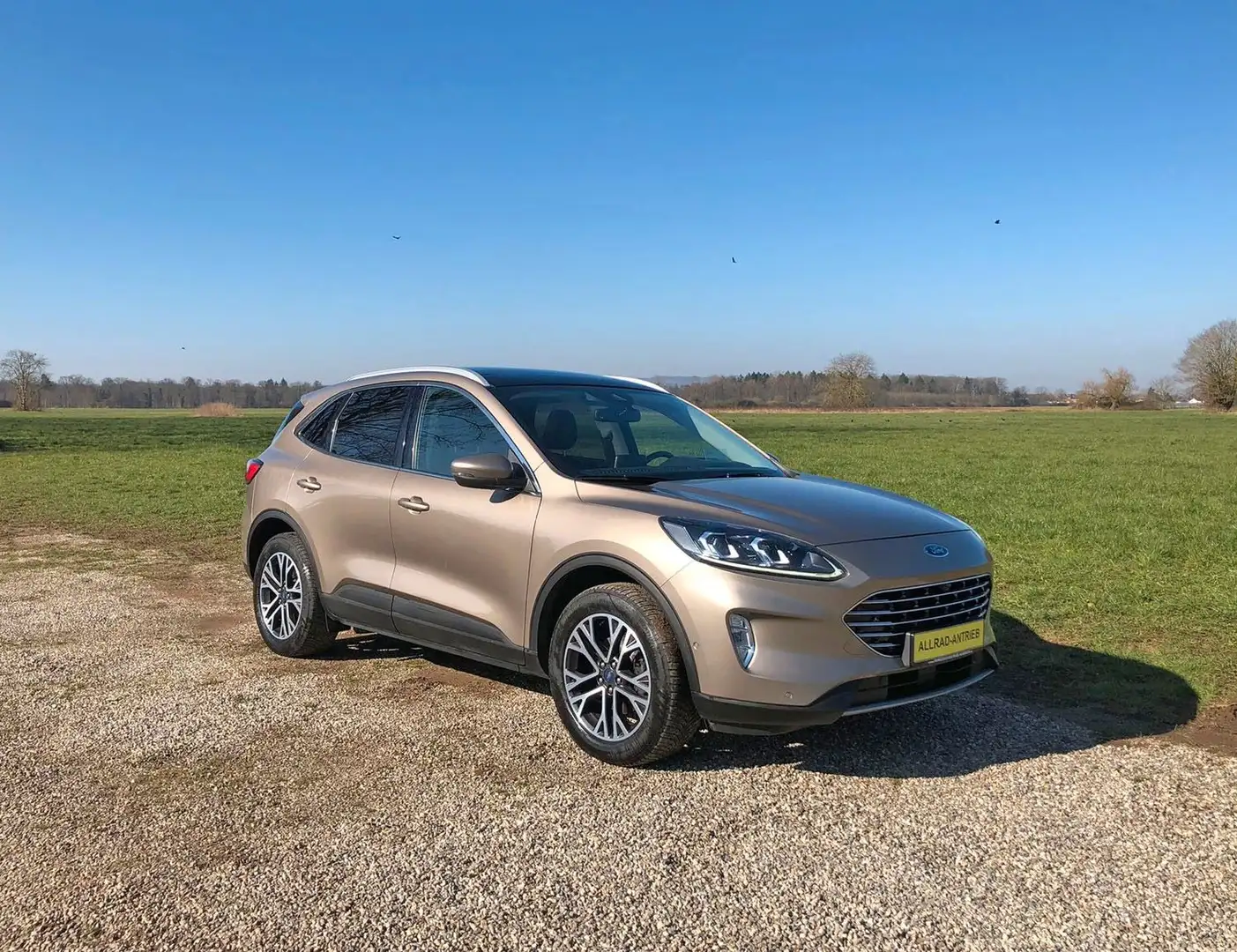 Ford Kuga Titanium / ALLRAD / PANO / LED / CARPLAY Silber - 2