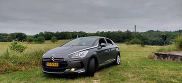 1.6 THP Bns Execut.