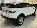 Land Rover Range Rover Evoque Range Rover Evoque 2.2 diesel garanzia permute Wit - thumbnail 6