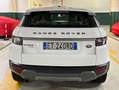 Land Rover Range Rover Evoque Range Rover Evoque 2.2 diesel garanzia permute Wit - thumbnail 5