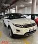 Land Rover Range Rover Evoque Range Rover Evoque 2.2 diesel garanzia permute Wit - thumbnail 1