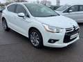 Citroen DS4 SoChic  Nur Export-/Gewerbeverkauf Weiß - thumbnail 2