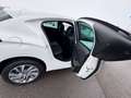 Citroen DS4 SoChic  Nur Export-/Gewerbeverkauf Weiß - thumbnail 12