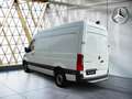 Mercedes-Benz Sprinter 317 CDI Kasten L2H2 360°KAM*DAB*Navi*9G Weiß - thumbnail 11