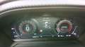 Ford Puma Puma ST X - 19"Gold Winterp. LED Navi B&O Garantie Vert - thumbnail 9