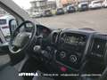 Fiat Ducato 2.0 Mjt Cassonato Fisso 7Posti N1 Autocarro Blanc - thumbnail 9