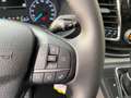 Ford Tourneo Custom 2.0 TDCi mHEV AT Titanium X  L2 Grau - thumbnail 25
