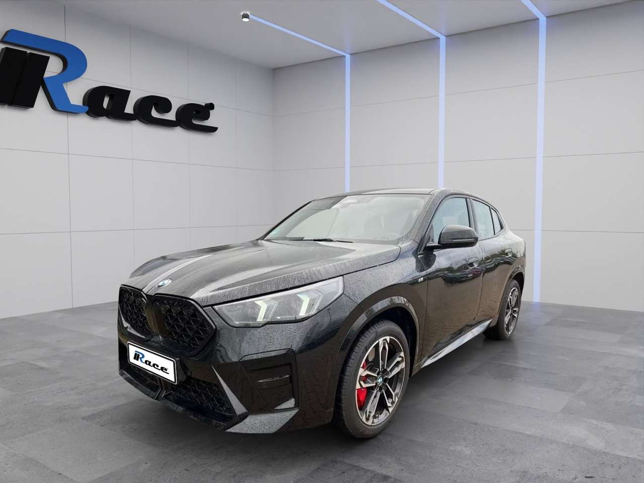 BMW X2 X2 sdrive 20i 48V MSport Pro auto