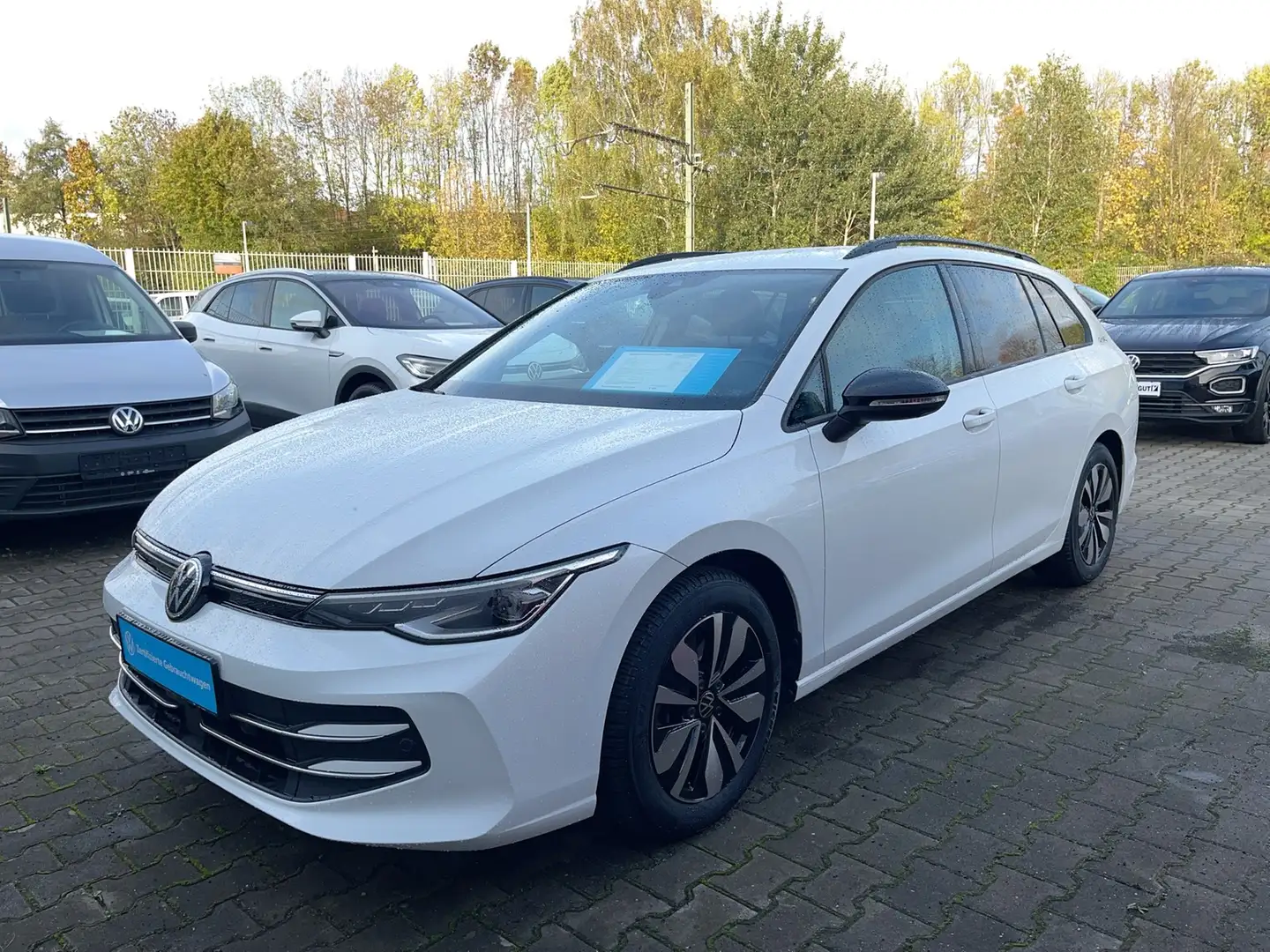 Volkswagen Golf VIII Variant 2.0 TDI GOAL Matrix AHK 360° Weiß - 1