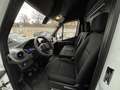 Mercedes-Benz Sprinter Kasten Standard Front 315 CDI 3,5t Hoch Weiß - thumbnail 8