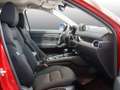 Mazda CX-5 D 184 Aut. AWD ADVANTAGE NAVI SHZ Kamera Rot - thumbnail 4