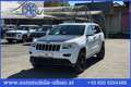 Jeep Grand Cherokee 3.0 CRD Summit AHK Kamera Luft Pano 8xAlu Sitz&... Weiß - thumbnail 1