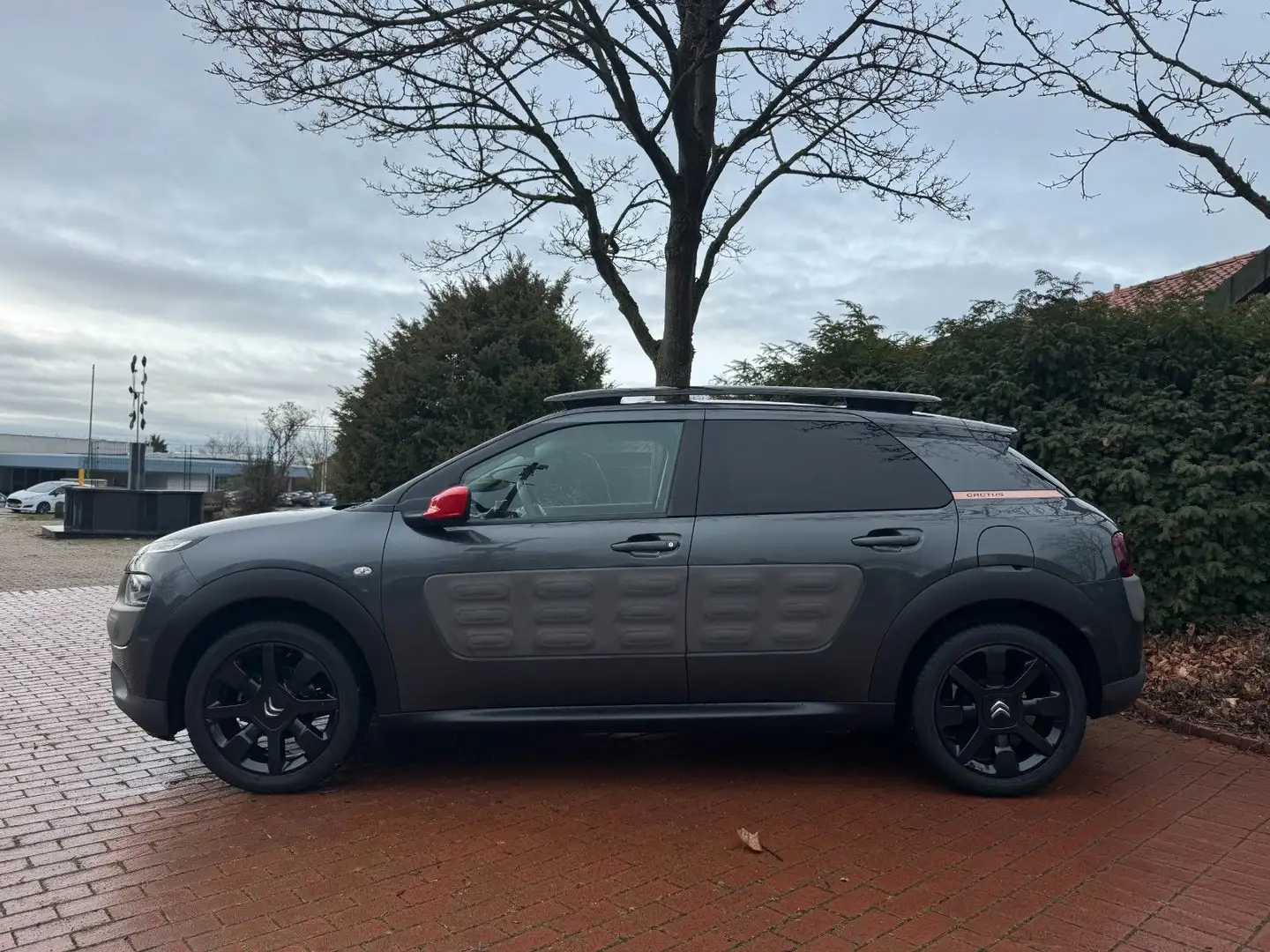 Citroen C4 Cactus Shine Edition|LED|Panorama|Navi|Touch! Grau - 2