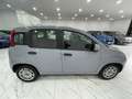 Fiat Panda Panda 1.0 firefly hybrid City Life s NO VINCOLI Grau - thumbnail 7
