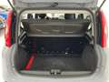 Fiat Panda Panda 1.0 firefly hybrid City Life s NO VINCOLI Grau - thumbnail 14