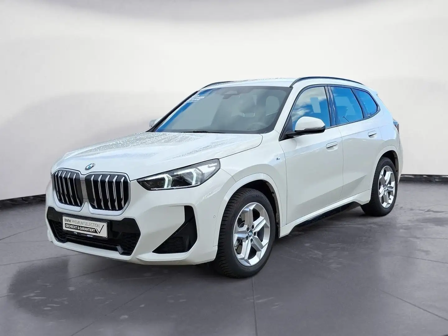 BMW X1 sDrive20i M Port AHK Premium Paket Comfort Pa Wit - 2