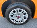 Fiat Panda 1.2 Easy Orange - thumbnail 9