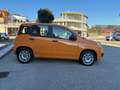 Fiat Panda 1.2 Easy Orange - thumbnail 7