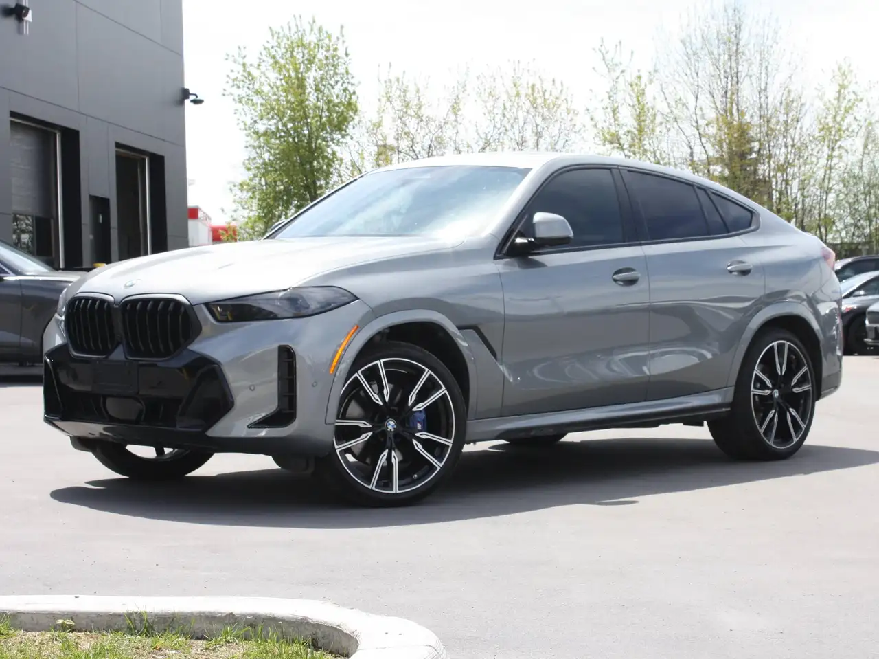 2024 BMW X6