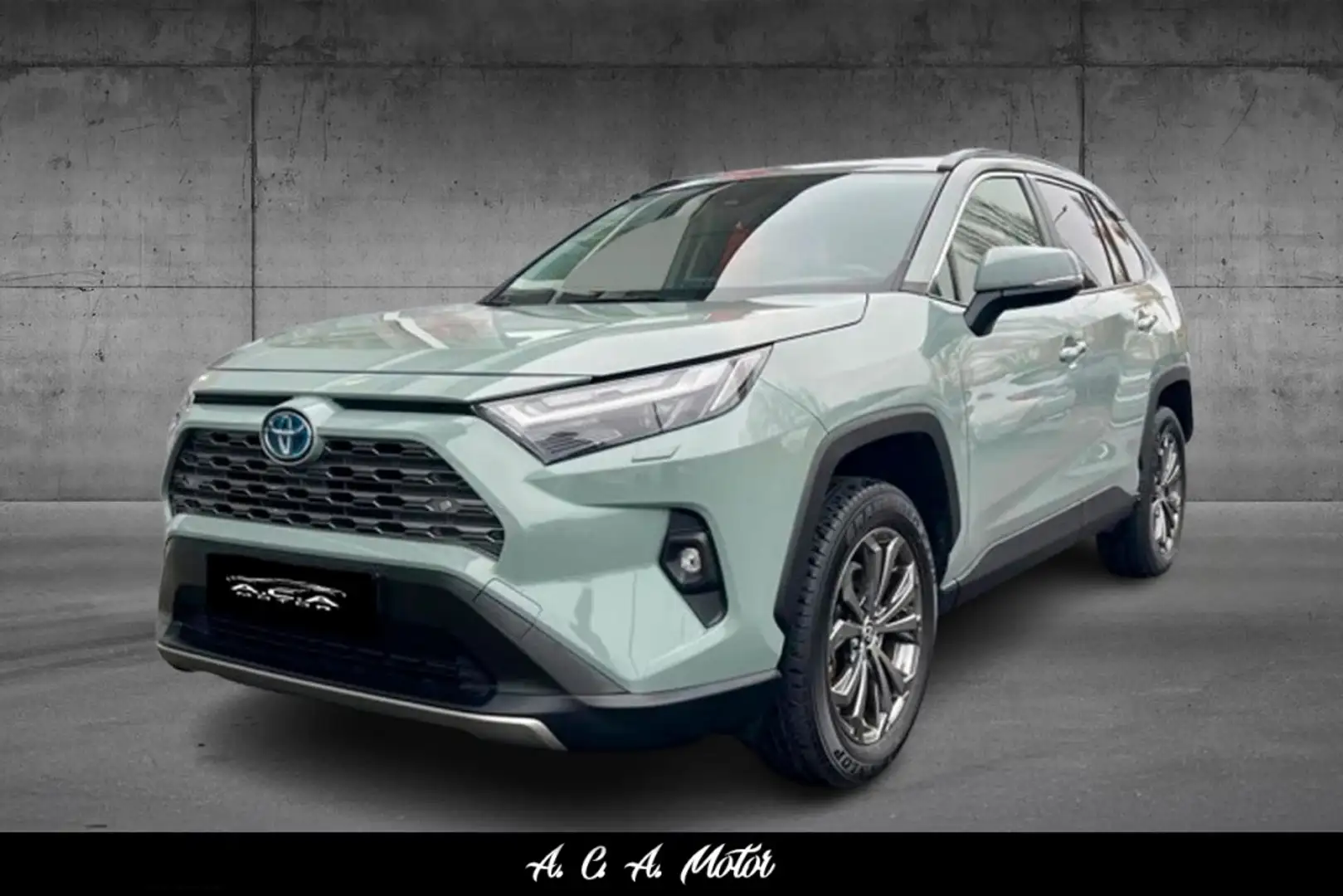 Toyota RAV 4 2.5 hybrid 4WD Business Verde - 1