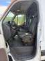 Opel Movano Movano 2,3 Diesel*131PS*L2H2*19%MwSt*Guter Zustand Weiß - thumbnail 12