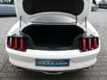 Ford Mustang 5.0 GT Leder |Navi |Shaker |Keyless |Cam Weiß - thumbnail 12
