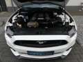 Ford Mustang 5.0 GT Leder |Navi |Shaker |Keyless |Cam Weiß - thumbnail 13