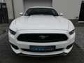 Ford Mustang 5.0 GT Leder |Navi |Shaker |Keyless |Cam Weiß - thumbnail 3