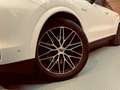 Porsche Cayenne E-Hybrid Blanco - thumbnail 17