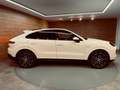 Porsche Cayenne E-Hybrid Blanco - thumbnail 21