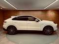 Porsche Cayenne E-Hybrid Blanco - thumbnail 19