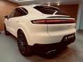 Porsche Cayenne E-Hybrid Blanco - thumbnail 31