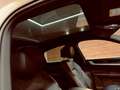 Porsche Cayenne E-Hybrid Blanco - thumbnail 22