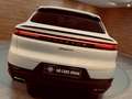 Porsche Cayenne E-Hybrid Blanco - thumbnail 25