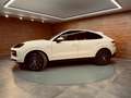 Porsche Cayenne E-Hybrid Blanco - thumbnail 41