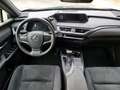 Lexus UX 250h Hybrid Business - thumbnail 10