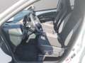 Toyota Aygo X 1.0 active 72cv s-cvt Bianco - thumbnail 8