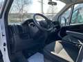 Fiat Ducato 140 L2H2 RS: 3450 mm Weiß - thumbnail 4
