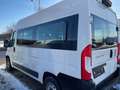 Fiat Ducato 140 L2H2 RS: 3450 mm Weiß - thumbnail 3