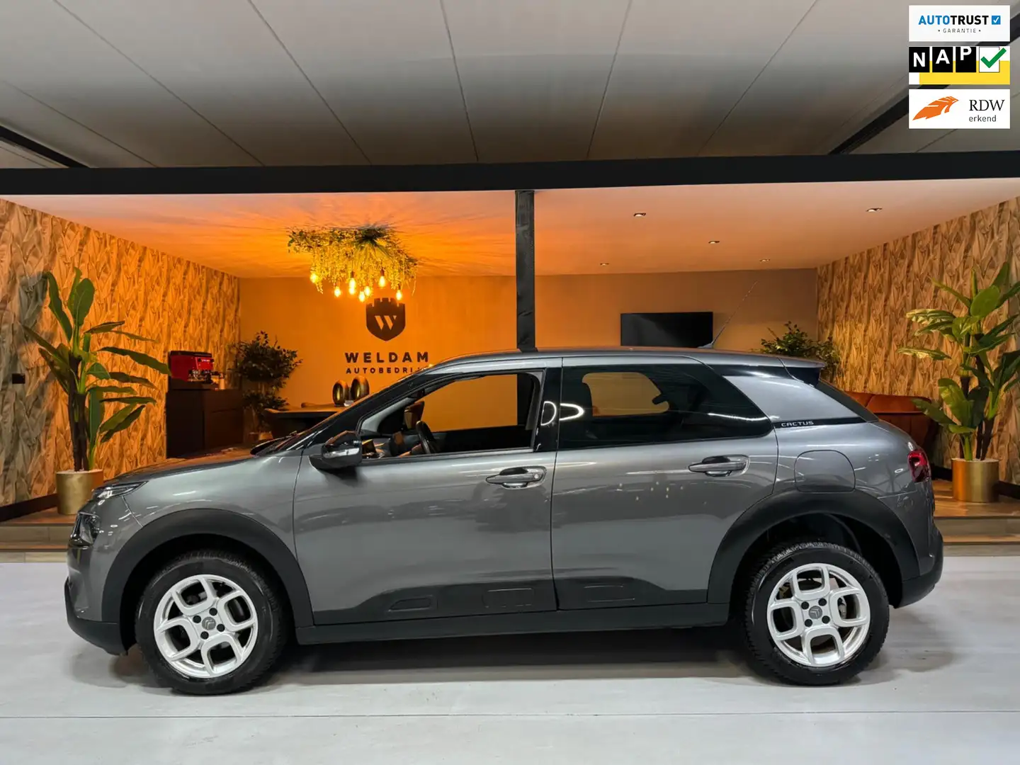 Citroen C4 Cactus 1.2 PureTech Shine Garantie CarPlay Cruise Clima N Gris - 1