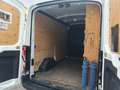 Ford Transit L2/H2 NETTO 12.490.- Ohne Anzahlung monatl. 329.- Weiß - thumbnail 6