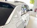 Volkswagen T-Roc 1.0 TSI Advance R-line 81kW Blanco - thumbnail 31