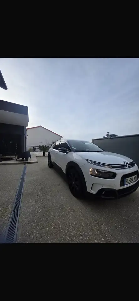 Citroen C4 Cactus BlueHDi 100 S\u0026S BVM6 Shine Business