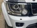 Land Rover Discovery Discovery SD V6 SE Weiß - thumbnail 4