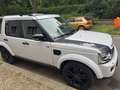 Land Rover Discovery Discovery SD V6 SE Weiß - thumbnail 3