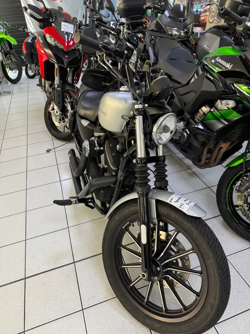 Harley-Davidson Sportster 883 Gris - 2