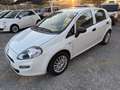 Fiat Punto 5p 1.3 mjt Street s&s 95cv Per neopatentati Bianco - thumbnail 3