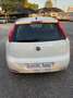 Fiat Punto 5p 1.3 mjt Street s&s 95cv Per neopatentati Bianco - thumbnail 5